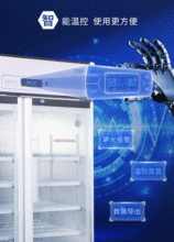 網(wǎng)絡(luò)技術(shù)開發(fā) 連接未來的橋梁與引擎